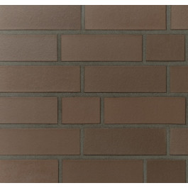 Клінкерна цегла Terca Leipzig, фото 1 , 60грн