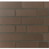 Клінкерна цегла Terca Leipzig, фото 2, колір , 60грн