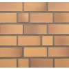 Клінкерна цегла Terca Ruegen, фото 2, колір , 60грн