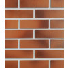 Клінкерна цегла Roben Darwin, фото 2, колір , 31.5грн