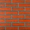 Клинкерный кирпич Terca Andra, фото 2, цвет , 37грн